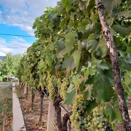 Vakantiehuis Maria's House *